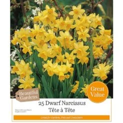 Narcissus 'Tete A Tete' (25 Bulbs)