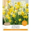 Narcissus 'Mixed Species' (25 Bulbs) 2 Narcissus 'Mixed Species' (25 Bulbs) -Green Haven Garden Supplies 1083048