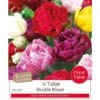 Tulip 'Double Mixed' (15 Bulbs) -Green Haven Garden Supplies 1083054
