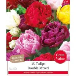 Tulip 'Double Mixed' (15 Bulbs)