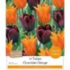 Chocolate Orange Tulip Collection (12 Bulbs) -Green Haven Garden Supplies 1083068