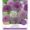 Bubble Garden Allium Collection (10 Bulbs) -Green Haven Garden Supplies 1083075