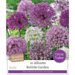 Bubble Garden Allium Collection (10 Bulbs)