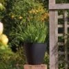 Stewart Garden 40cm Basalt Low Round Planter - Black -Green Haven Garden Supplies 1115429