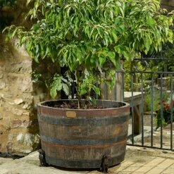 Jardinopia Plant Pot Feet Bronze Labrador - Set Of 3 -Green Haven Garden Supplies 1177293 3