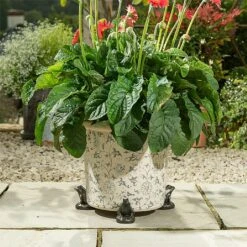 Jardinopia Plant Pot Feet Bronze Frog - Set Of 3 -Green Haven Garden Supplies 1177294 4