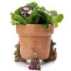 Jardinopia Beatrix Potter Benjamin Bunny Plant Pot Feet - Set Of 3 -Green Haven Garden Supplies 1177317