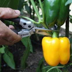 Darlac Compact Snips -Green Haven Garden Supplies 1202076 2