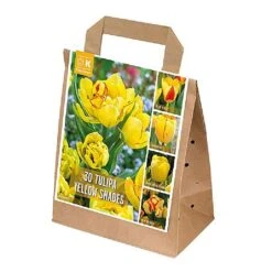 Tulipa Yellow Shades (Bag Of 30)