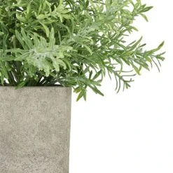 Rosemary Plant Stone Pot -Green Haven Garden Supplies 1238867 1