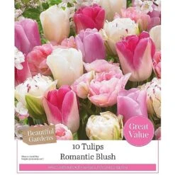 Romantic Blush Tulip Collection (10 Bulbs)