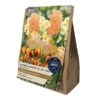 Layered Planter Bulbs Collection (20 Bulbs) -Green Haven Garden Supplies 1282242