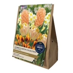 Layered Planter Bulbs Collection (20 Bulbs)