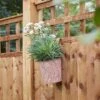 Smart Garden Fence And Balcony 6in Hanging Pot Fern - Terracotta