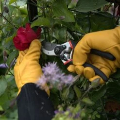 Wilkinson Sword Razorcut Pro Straight Pruner -Green Haven Garden Supplies 1303473 3