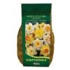 Narcissus 'Mixed' Carri-Pack 2kg 1 Narcissus 'Mixed' Carri-Pack 2kg -Green Haven Garden Supplies 666153