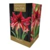 Amaryllis Ruby Star Indoor Growing Kit -Green Haven Garden Supplies 666427