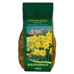 Narcissus 'Cornish Gold' Carri-Pack 2kg