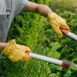 Front Page 12 Front Page -Green Haven Garden Supplies 838893 1