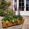 Tom Chambers Rosemoor Trough Planter (FSC) -Green Haven Garden Supplies 859801