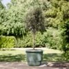 Elho Amiga Round Planter - Various Colours (30cm) -Green Haven Garden Supplies AmiRnd30