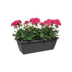 Elho Barcelona 90cm Trough (Various Colours) 8 Elho Barcelona 90cm Trough (Various Colours) -Green Haven Garden Supplies BARCTROUGH90 2