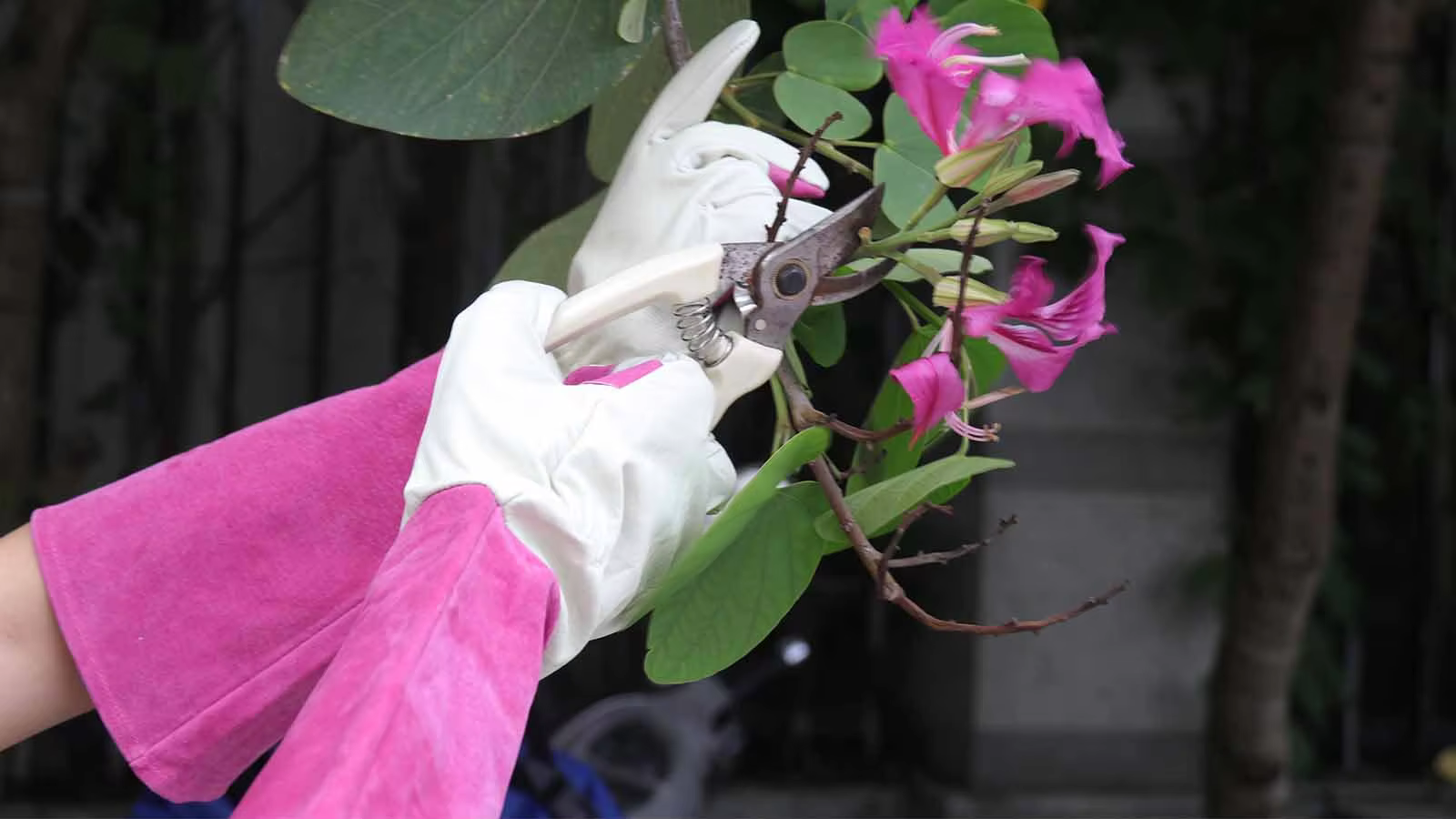 Front Page -Green Haven Garden Supplies Hba08fb397c2c4fcd894a1be58527cc88P