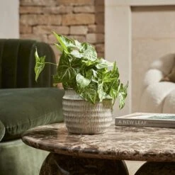 Woodlodge Ines Pot - Grey (Various Sizes) -Green Haven Garden Supplies INESPOTGRY 3