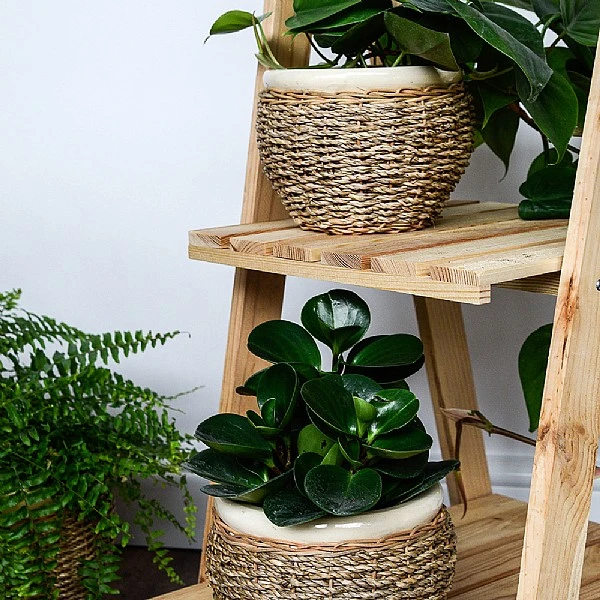 Ivyline Seagrass Pot Cover Natural (Various Sizes) 3 Ivyline Seagrass Pot Cover Natural (Various Sizes)