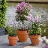 Elho Vibia Campana Round Planter 30cm (Various Colours)