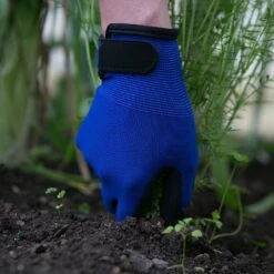 Front Page 10 Front Page -Green Haven Garden Supplies WMPLUMGLO 1